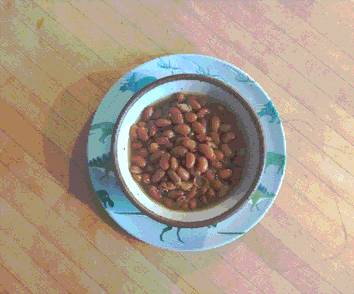 a bowl of beans with some cooking liquid on a dinosaur plate on a butcherblock island